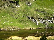 Alcuni atleti della Devero Trail 2013 : devtra